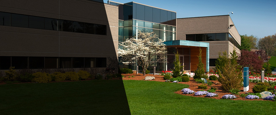 Drexel Hill Landscapers