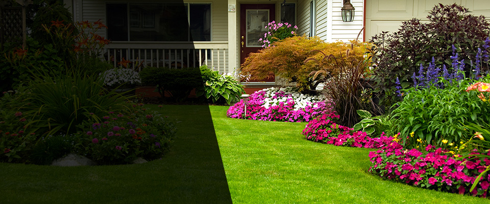Drexel Hill Landscapers