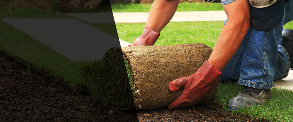 Drexel Hill Landscapers